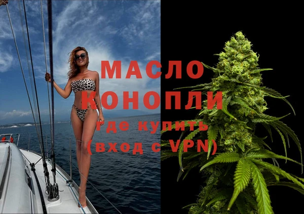 мет Инта