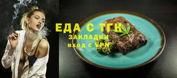 мет Инта
