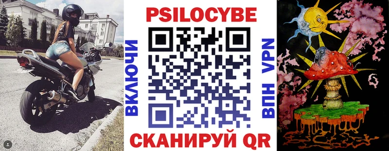 где можно купить   Пласт  Галлюциногенные грибы мухоморы 